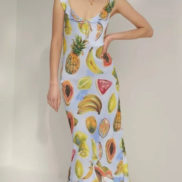 Wilfred Dresses & Skirts - Wilfred Fruit Print Maxi Dress - Multicolor